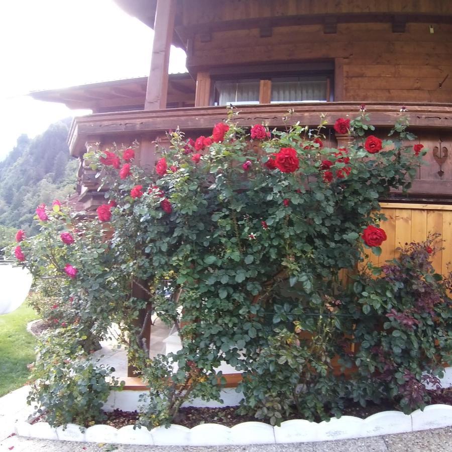Landhaus Knoflach Neustift im Stubaital Ngoại thất bức ảnh